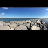 Pearl