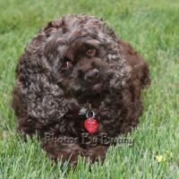 Margaret S Jones
