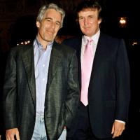 Jojobean1