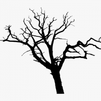 DeadTree LawnCourse