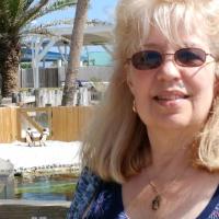 Barb Mosey