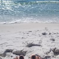 Tracie steele