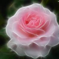 Margaret