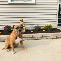 Gail Maty