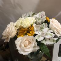 Dorrie Lynch