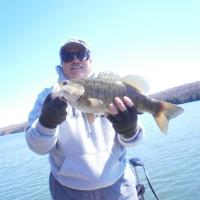 SCOTT CROMLING