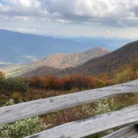 Stanton Bockoven