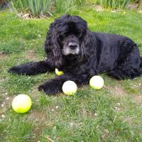 Judith Belli
