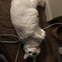Jill Kalaha
