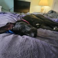 Becky