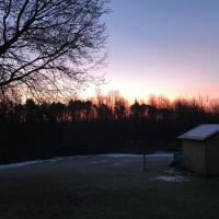 Denise Harpst