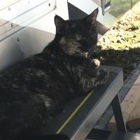 Paula