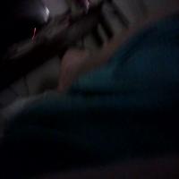Diana L Maida