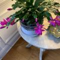 Sue Getz