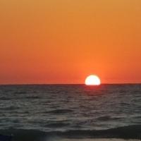 Sarah McCloskey