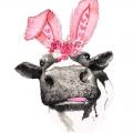 Brandy Curlee