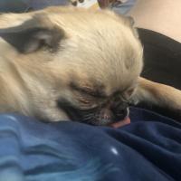 Raleen Nichols