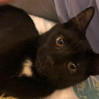 Lori Schlauderaff