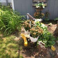 Christine Cichon