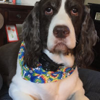 Cindy Hegerich