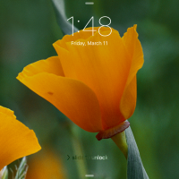 Georgia Bush