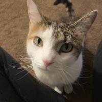 Talicia Smith