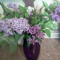 Joan OHare