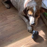 Misti Swope