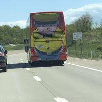 Ev Ascenzi
