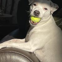 Lori Rushton