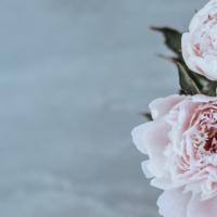 RuthAnn