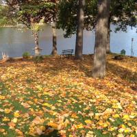 Cathy Denton