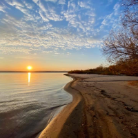 Cheryl