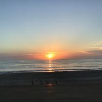 Kim Mertz
