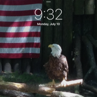 Kathy Anderson