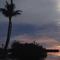 Michelle Lees