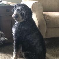 Barb Magee
