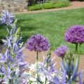 Jeanette K