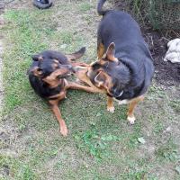 Anna Sekelik
