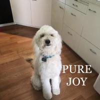 Kathleen Stonebraker