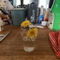 Kathleen Dejongh Dejongh