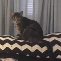 Mary Miller