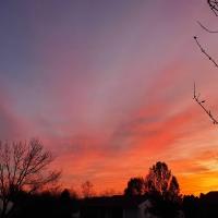 Wendie Sauder
