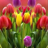 Glenna Lee