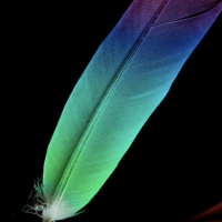 Jake Jake blankenship