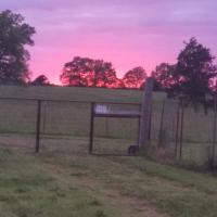 Brenda Deavers
