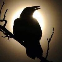 Tempest Moon
