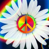 Debra Pressley