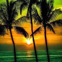 Susan Caprio