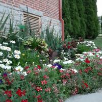 Karen Reece